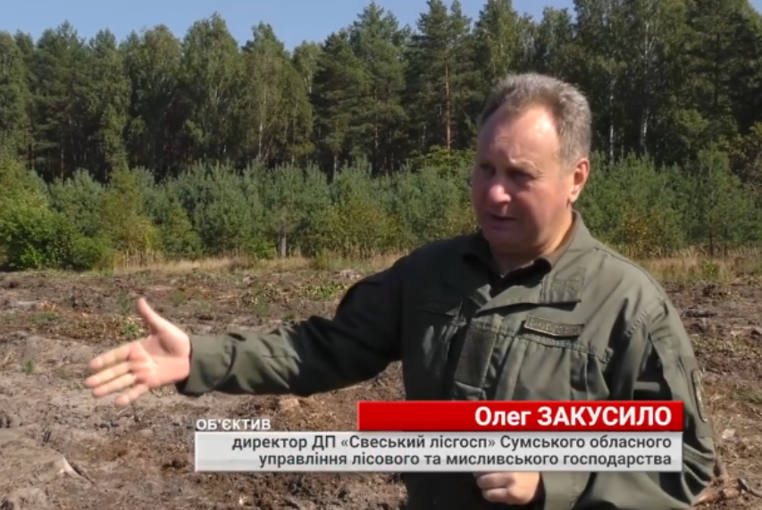 На телеканалі ATV вийшов сюжет про Свеський держлісгосп
