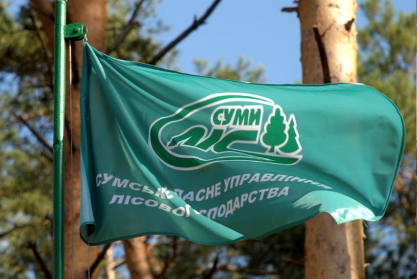 «П’ятнадцята перемога»: на ATV вийшов сюжет про обласний конкурс вальників лісу, де тріумфував Свеський лісгосп (відео)