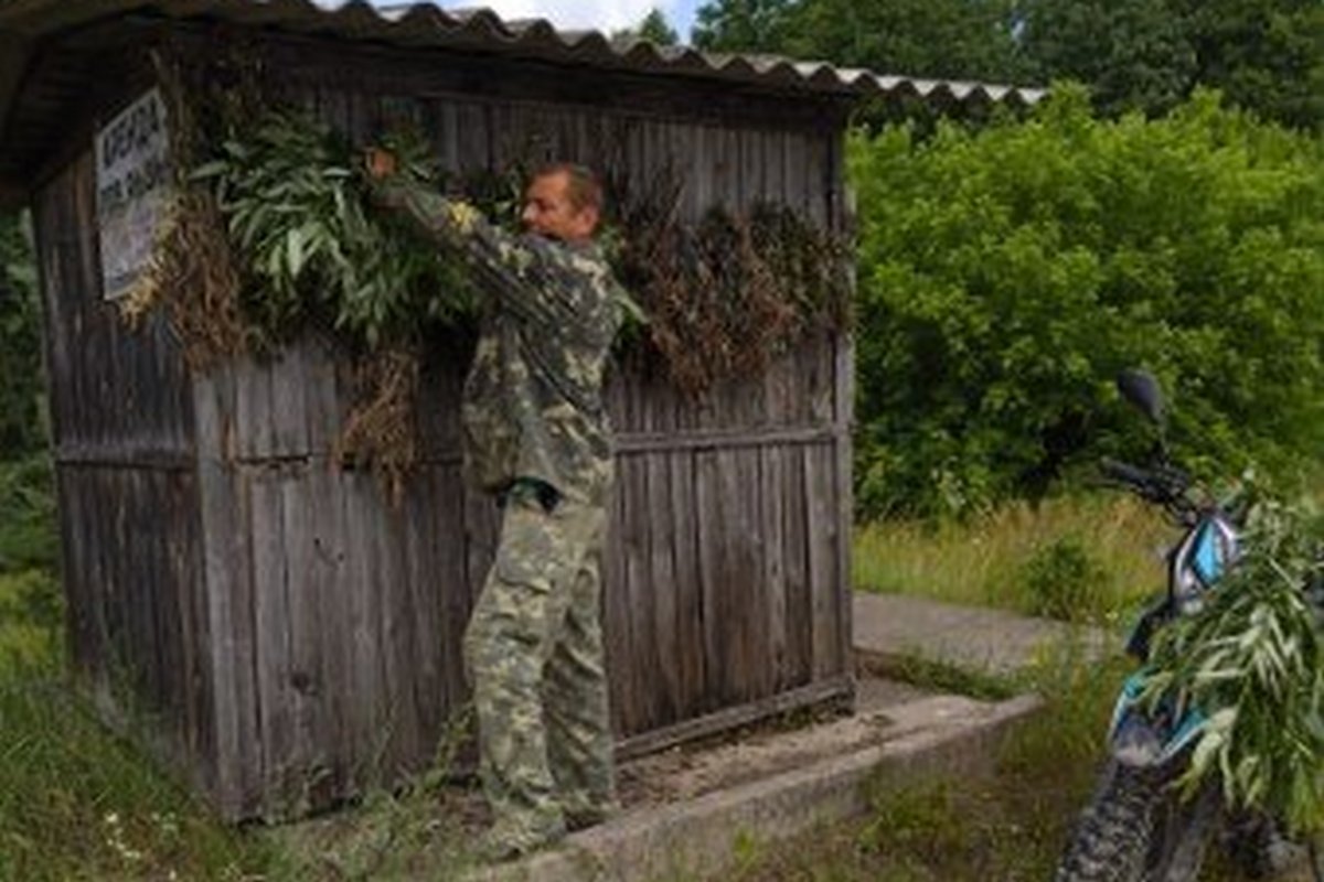 В Свеському лісгоспі проводять заготівлю кормів для підгодівлі диких тварин взимку
