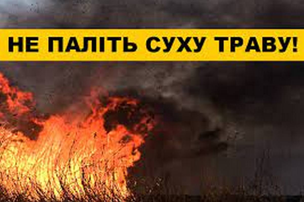 Рятувальники Сумщини звертаються до громадян – не провокуйте пожежі в природних екосистемах