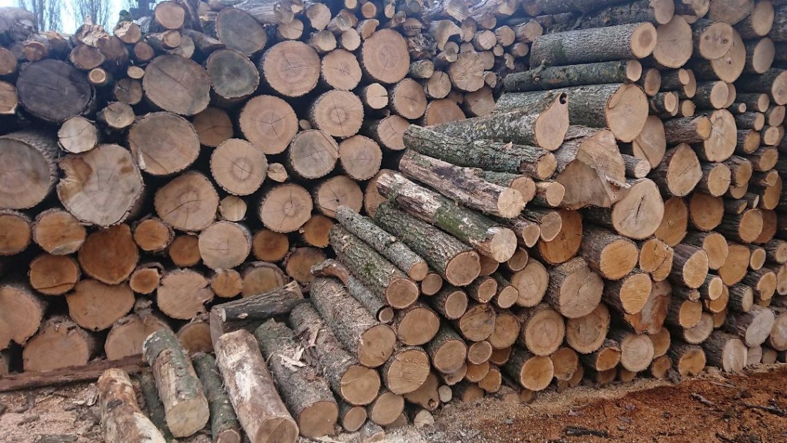 В Свеському лісгоспі розповіли, як населення може замовити дрова
