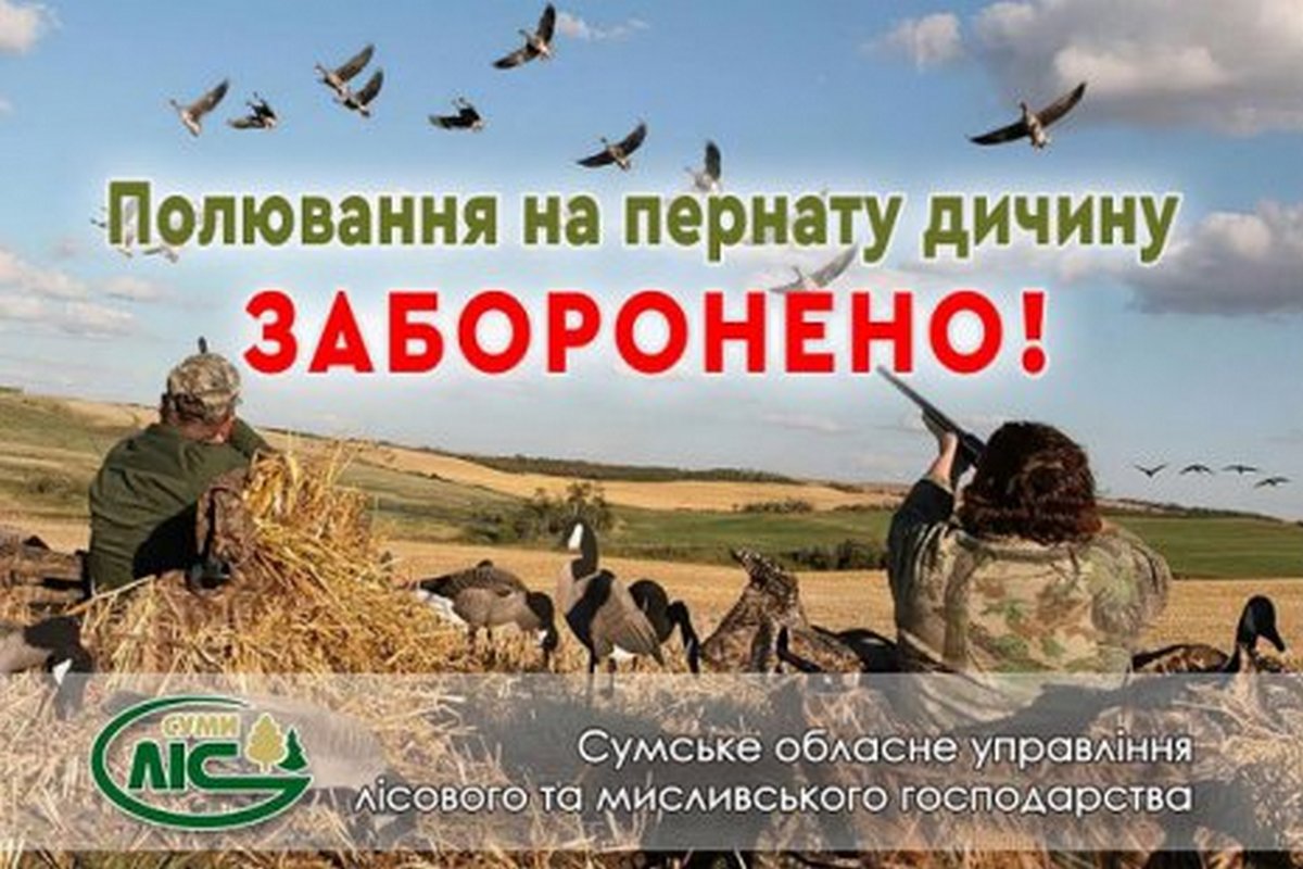 Полювання цьогоріч під забороною – воєнний стан