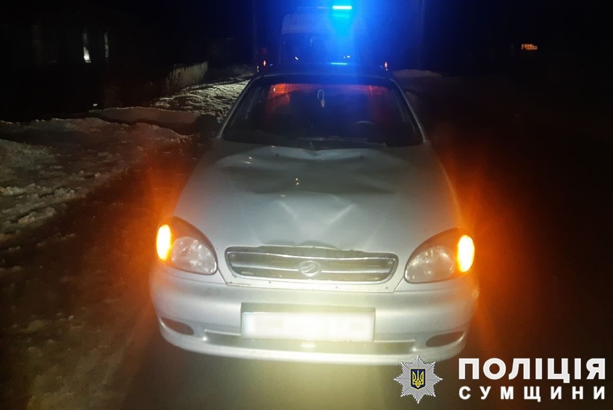 Винуватець смертельної ДТП в Орлівці отримав три роки позбавлення волі
