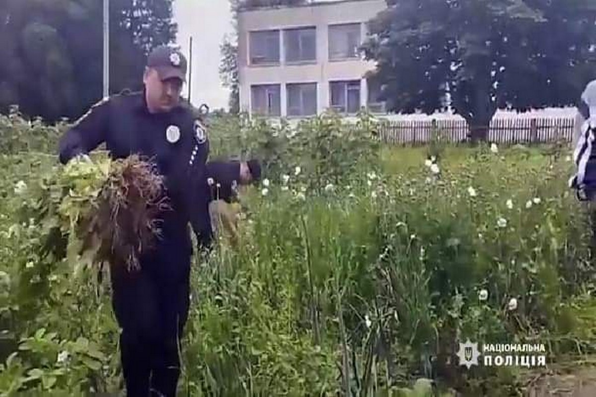 У Чуйківці поліцейські виявили посів наркотичної речовини