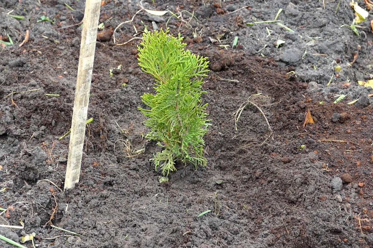 Новини прикордоння: 24 жовтня