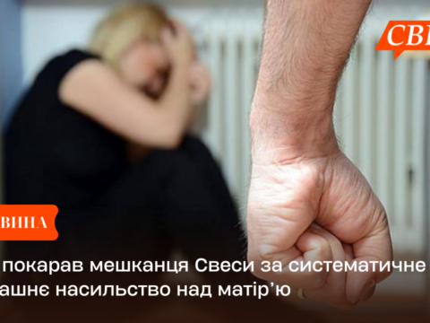 Суд покарав мешканця Свеси за систематичне домашнє насильство над матір’ю