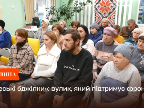 «Свеські бджілки»: вулик, який підтримує фронт