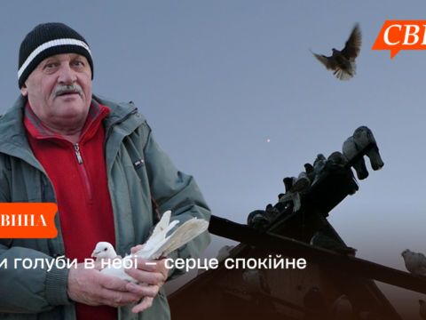 Поки голуби в небі — серце спокійне