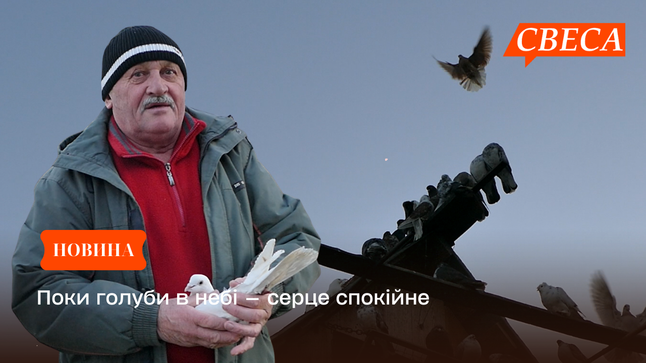 Поки голуби в небі — серце спокійне